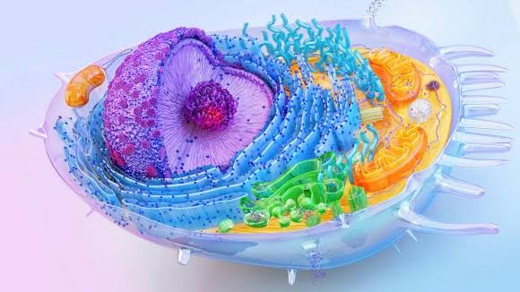 Biology Basics ( August )