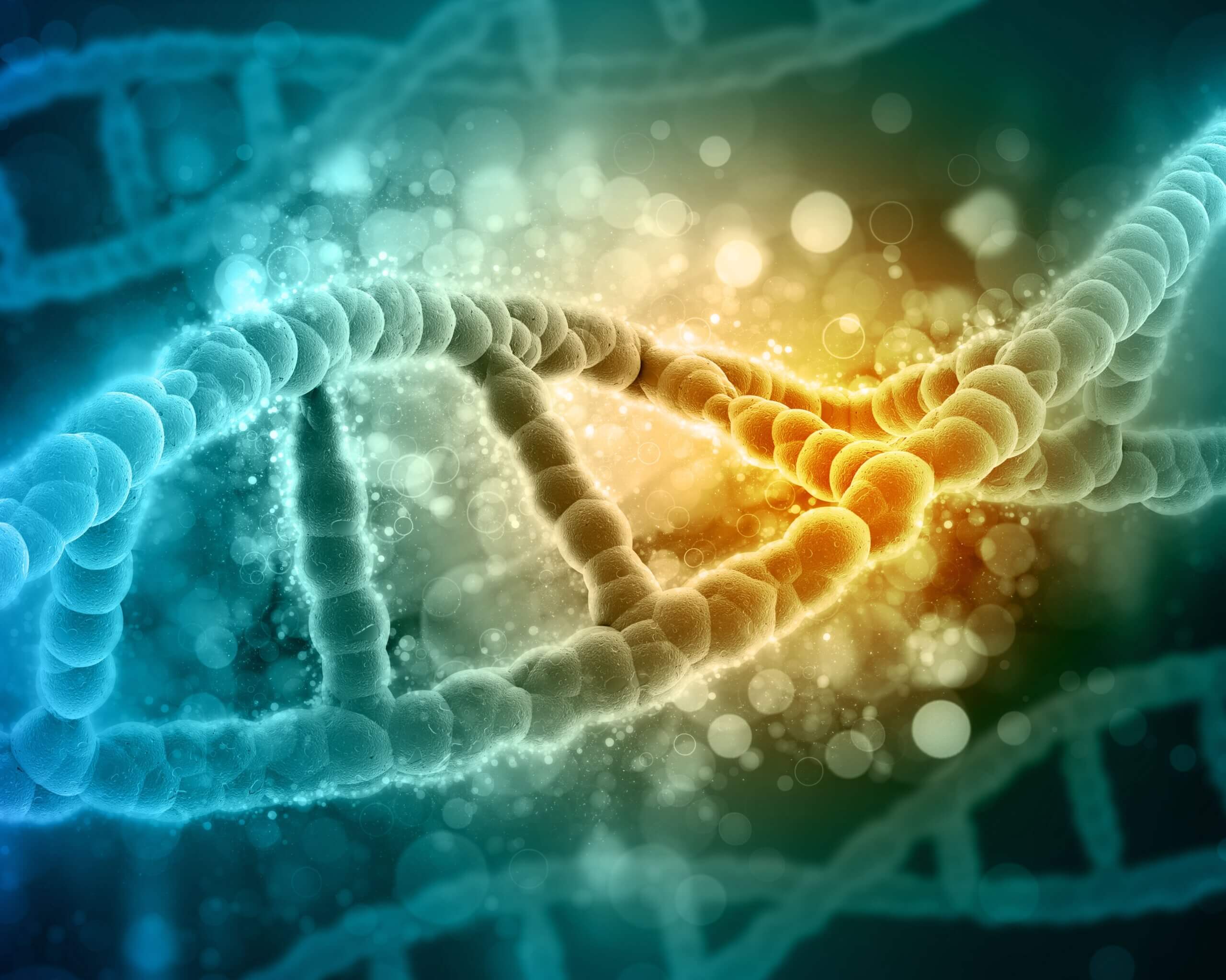 EST 2 Biology Basics- October
